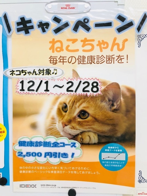 4FF491C0-829E-4839-AE29-9B5D1B950D3F.jpeg